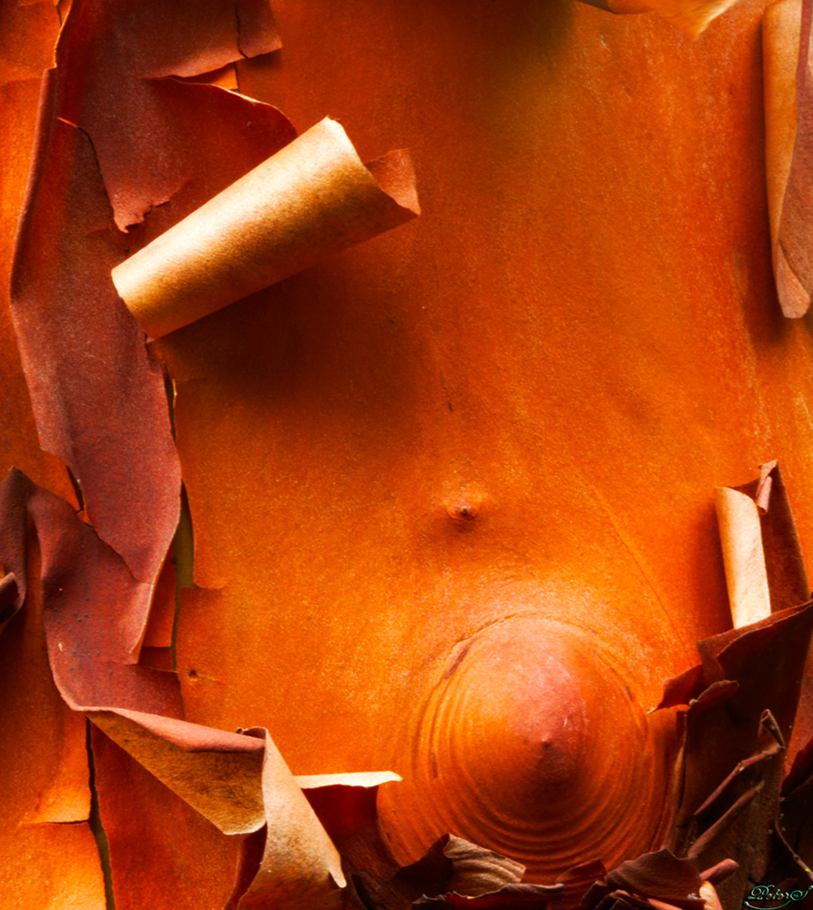 %_tempFileNameIMG_1991%