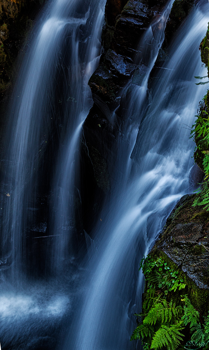 %_tempFileNameIMG_0384%