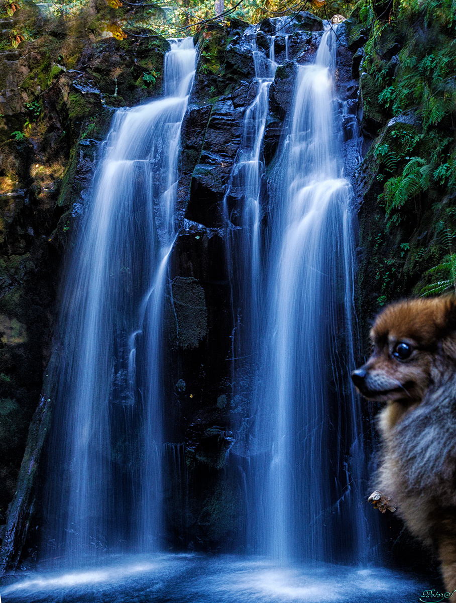 %_tempFileNameIMG_0386%