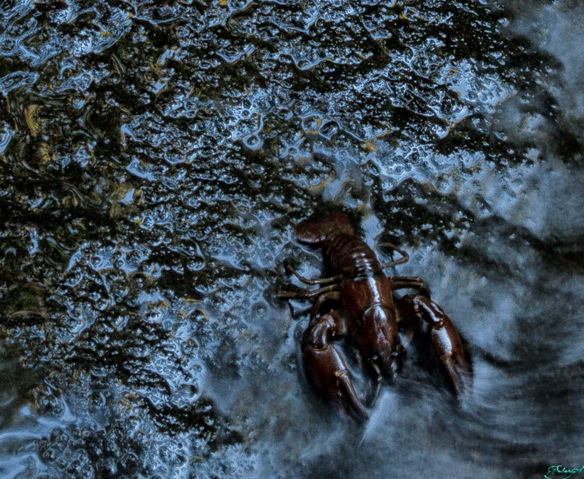 %_tempFileNameIMG_0405%