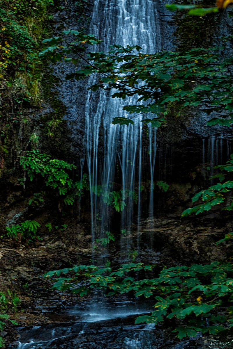 %_tempFileNameIMG_0407%