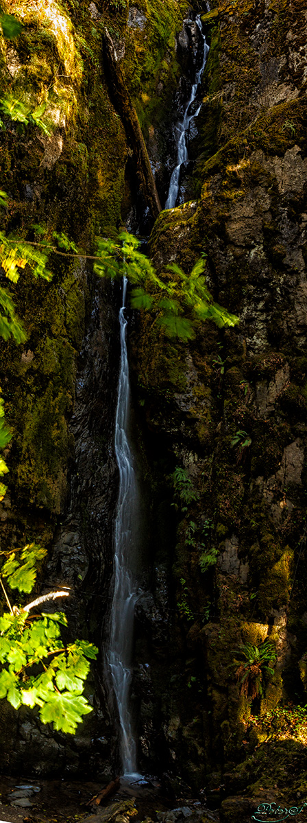 %_tempFileNameIMG_0434%