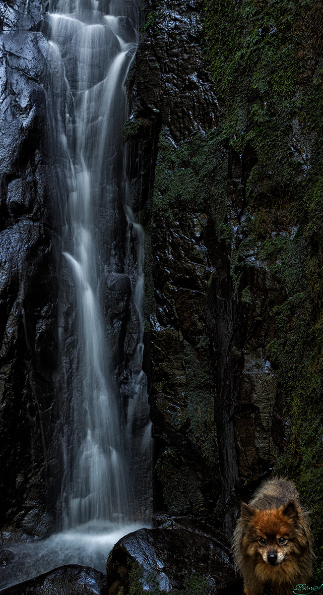 %_tempFileNameIMG_0438%