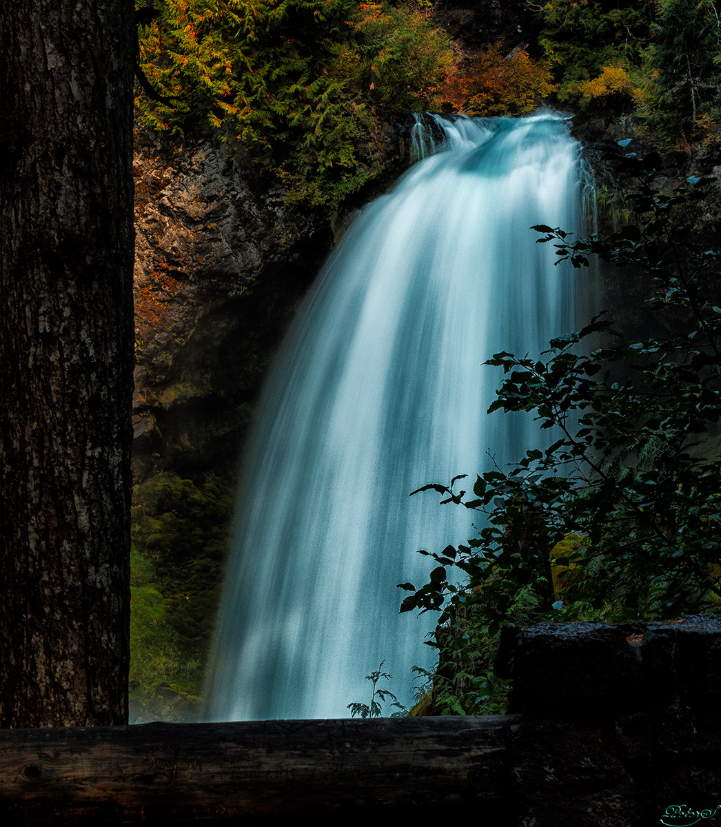 %_tempFileNameIMG_0455%