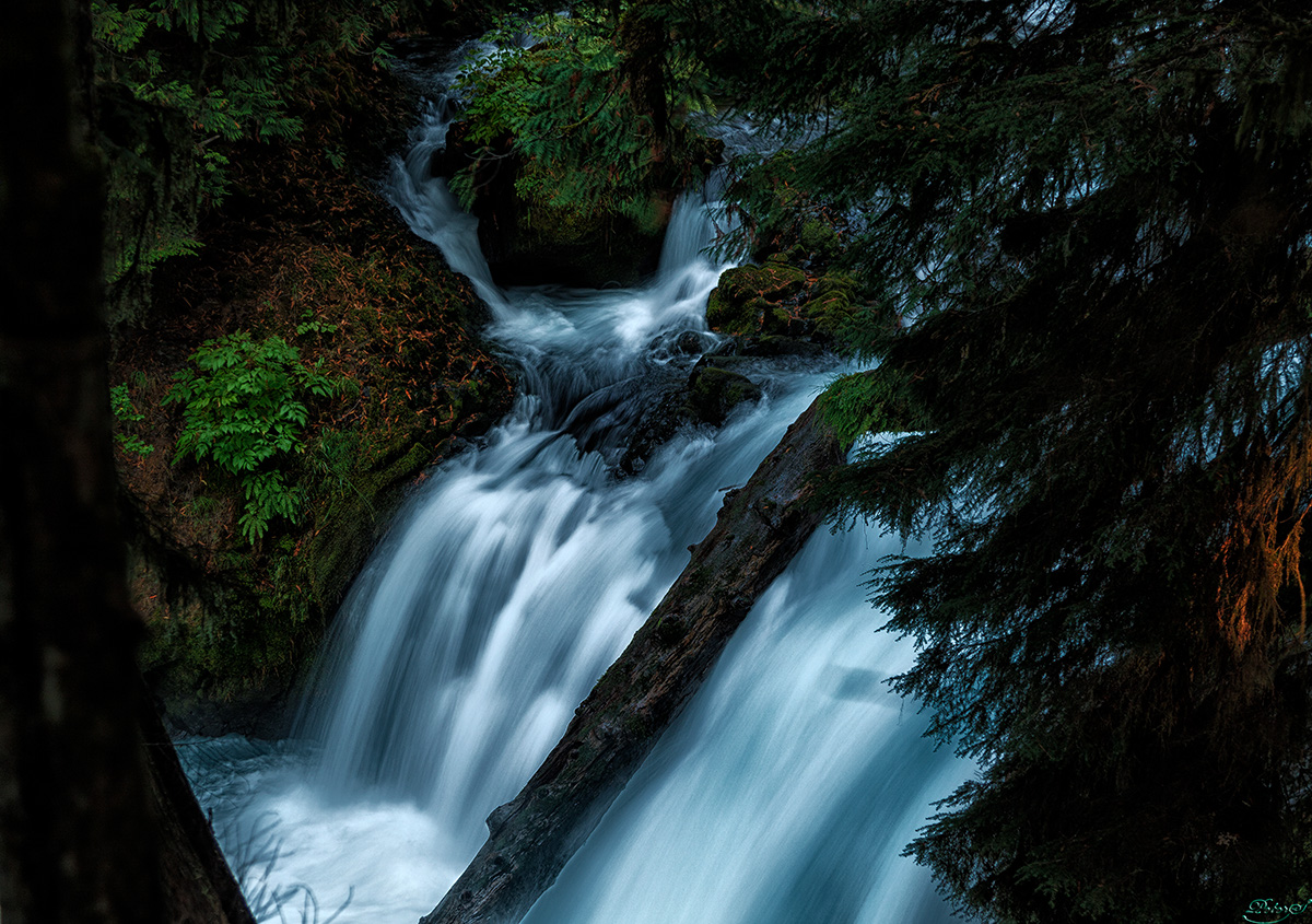 %_tempFileNameIMG_0458%