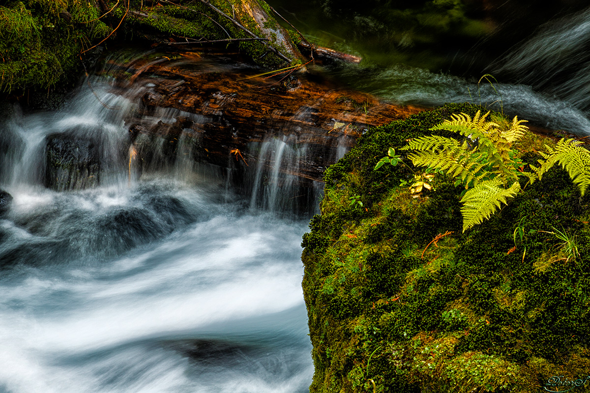 %_tempFileNameIMG_0460%