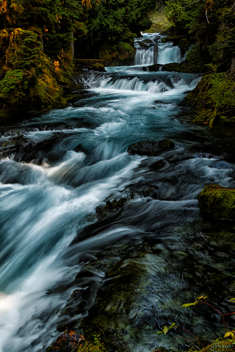 %_tempFileNameIMG_0461%