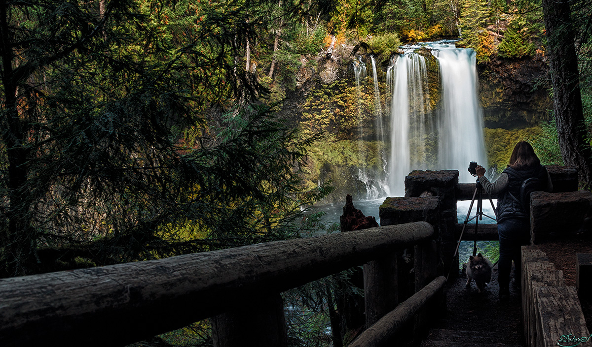 %_tempFileNameIMG_0472%