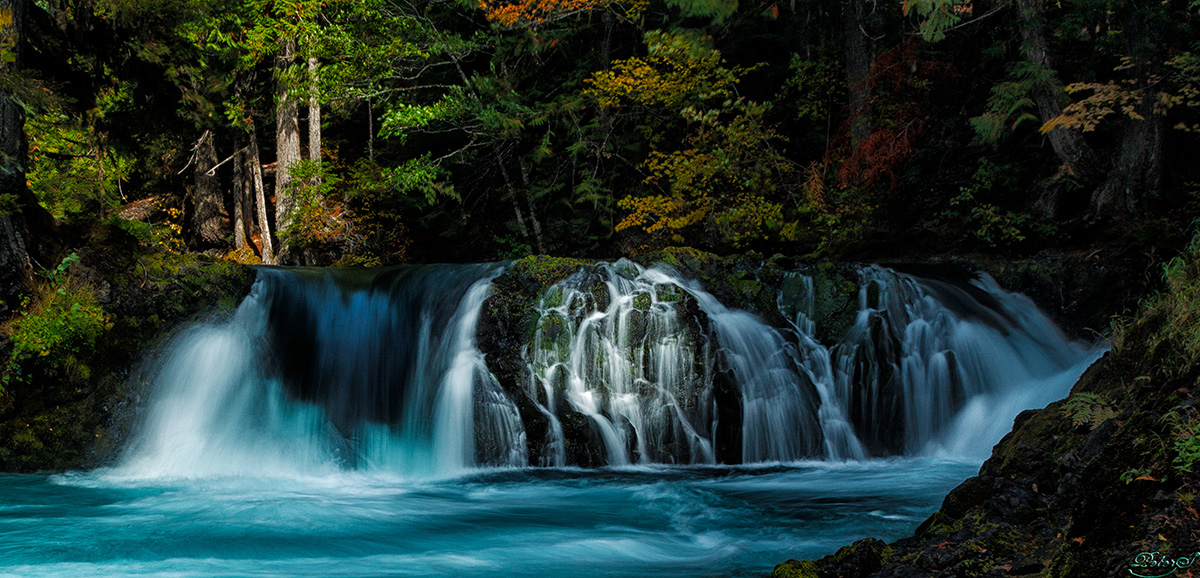 %_tempFileNameIMG_0477%