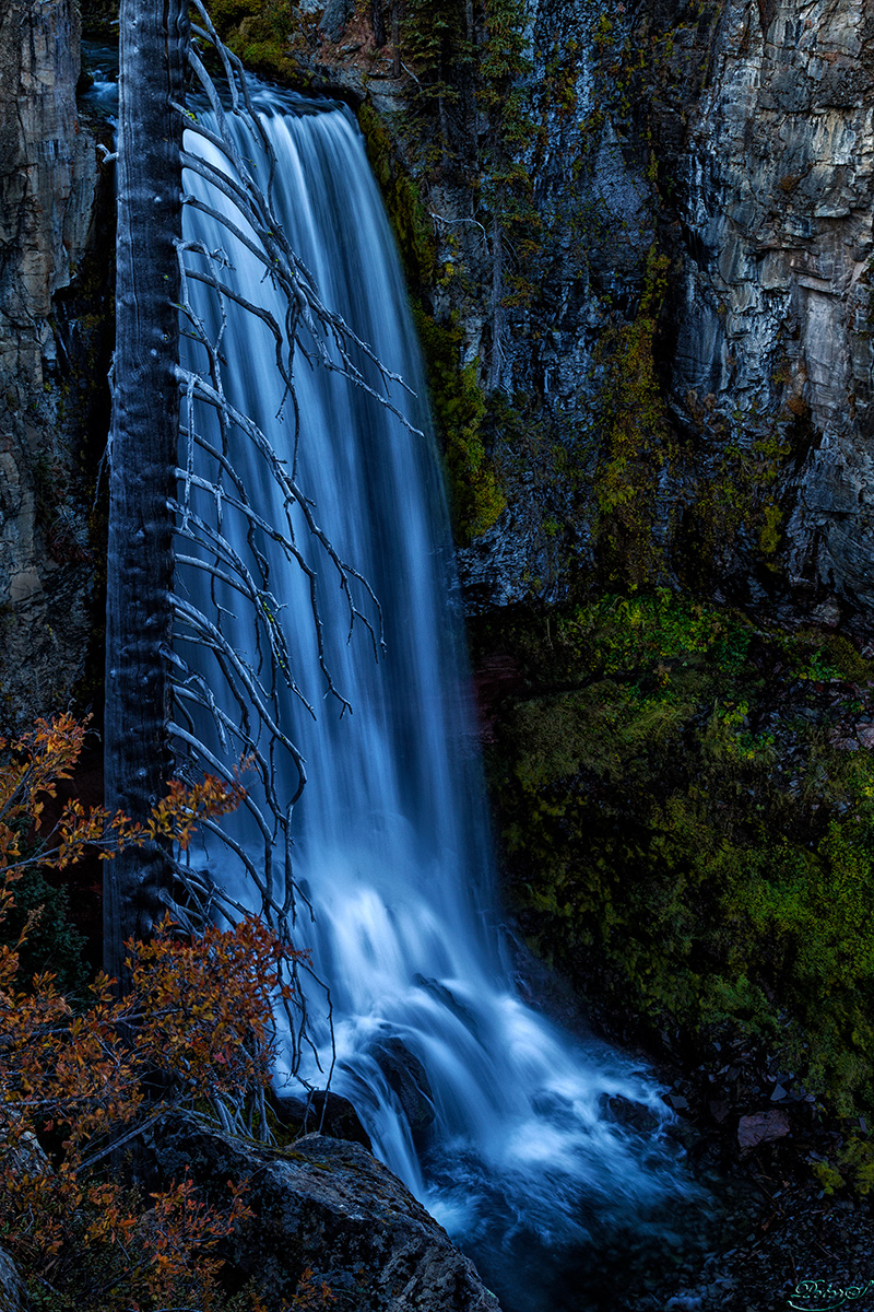 %_tempFileNameIMG_0497%