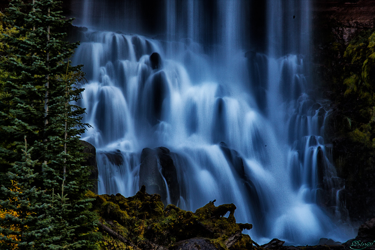 %_tempFileNameIMG_0499%