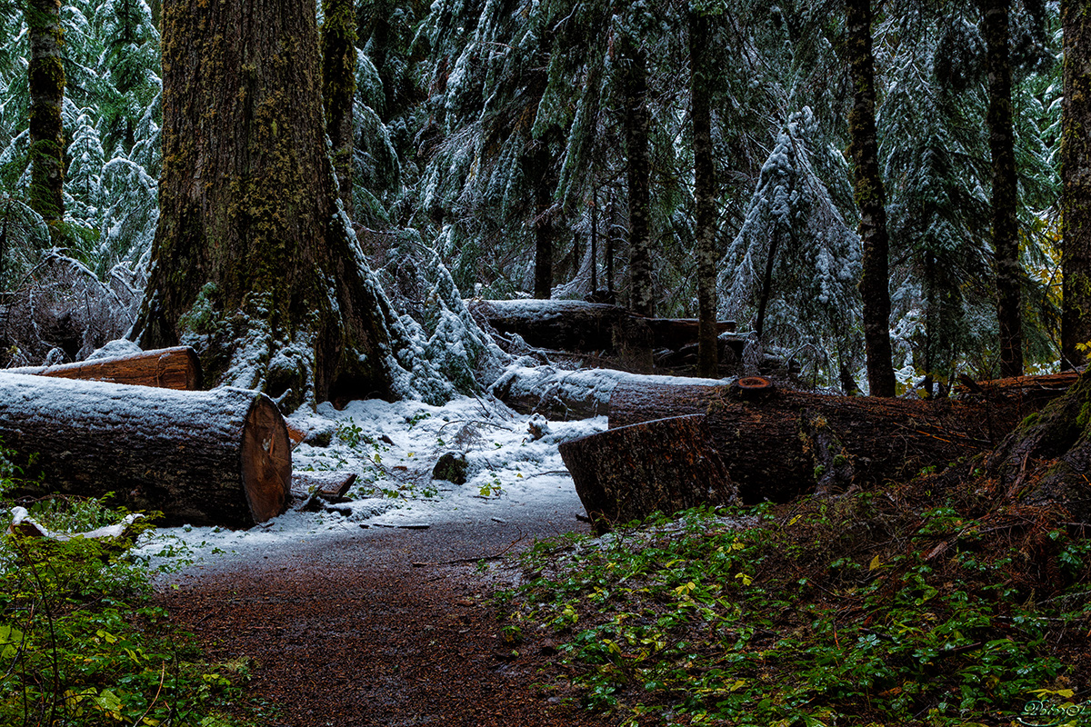 %_tempFileNameIMG_0501%