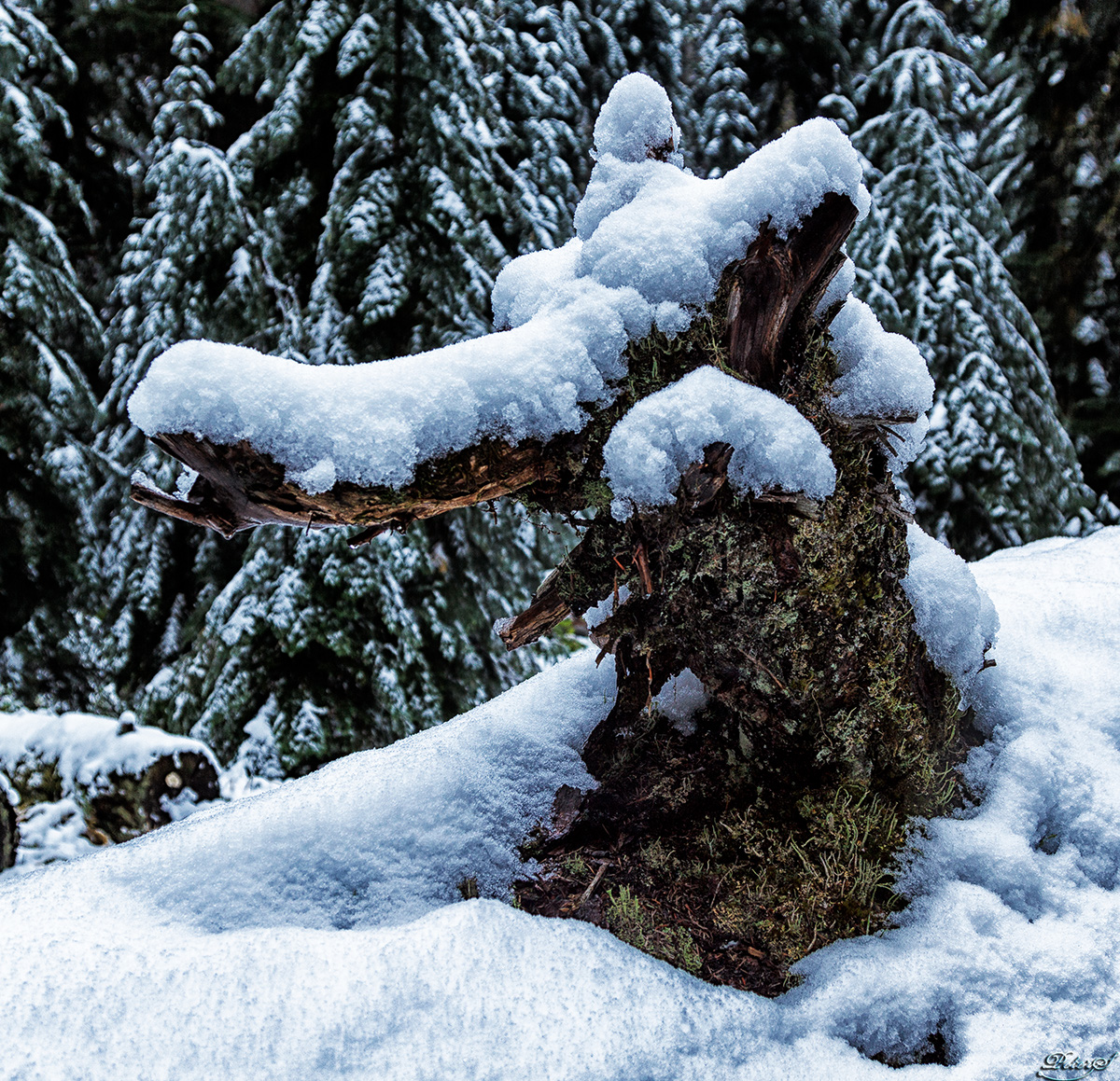 %_tempFileNameIMG_0510%