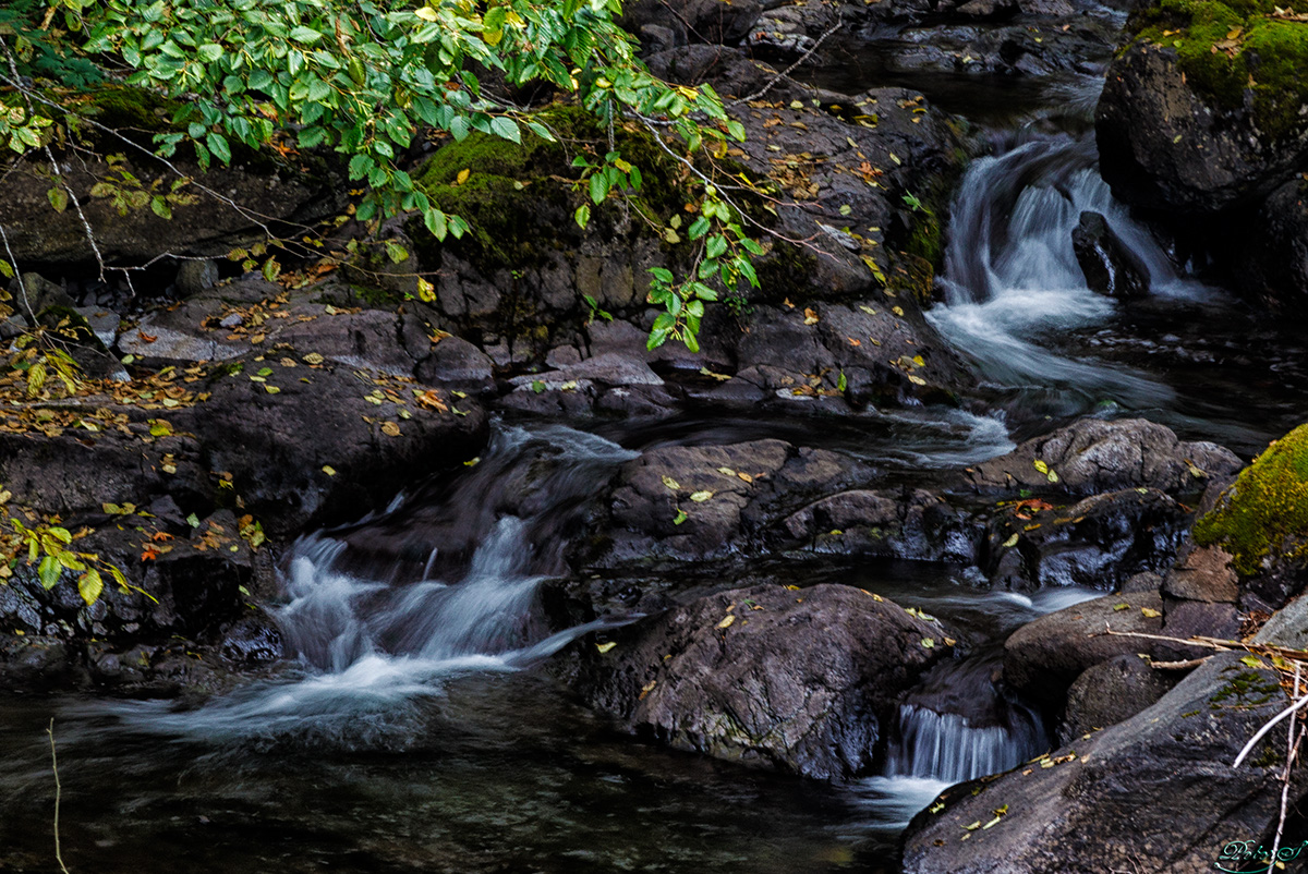 %_tempFileNameIMG_1899%