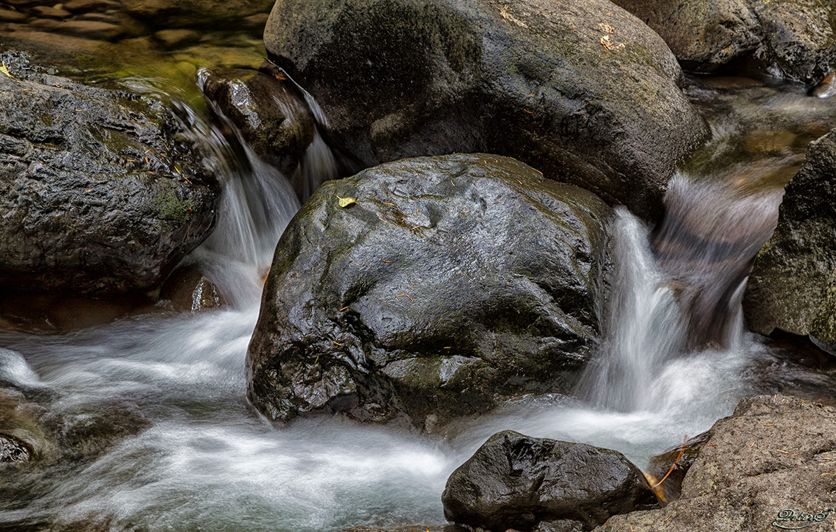 %_tempFileNameIMG_1901%