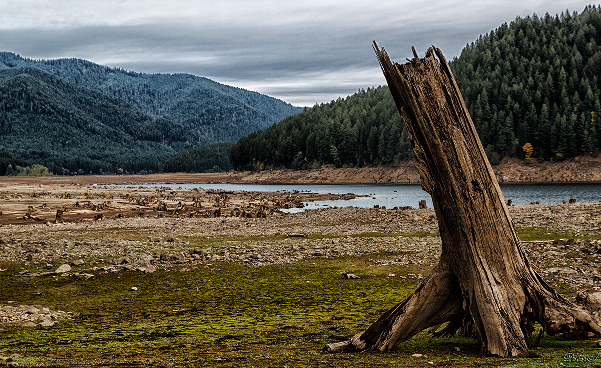 %_tempFileNameIMG_1909%