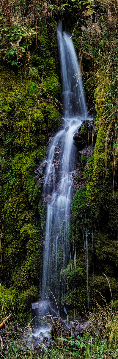 %_tempFileNameIMG_1921%