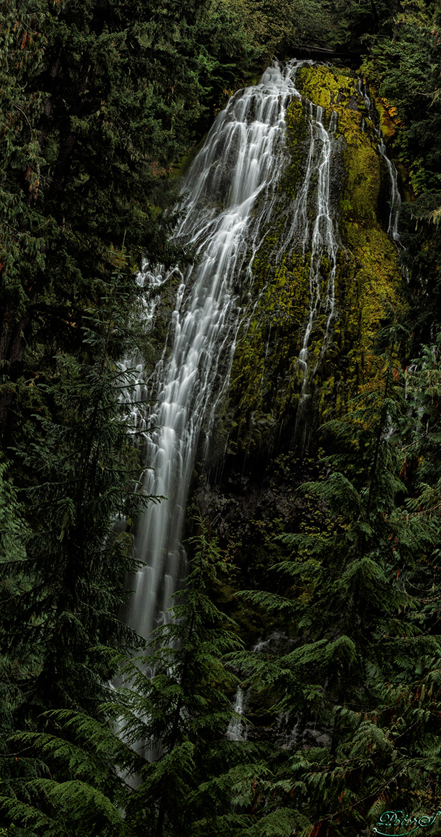 %_tempFileNameIMG_2791%