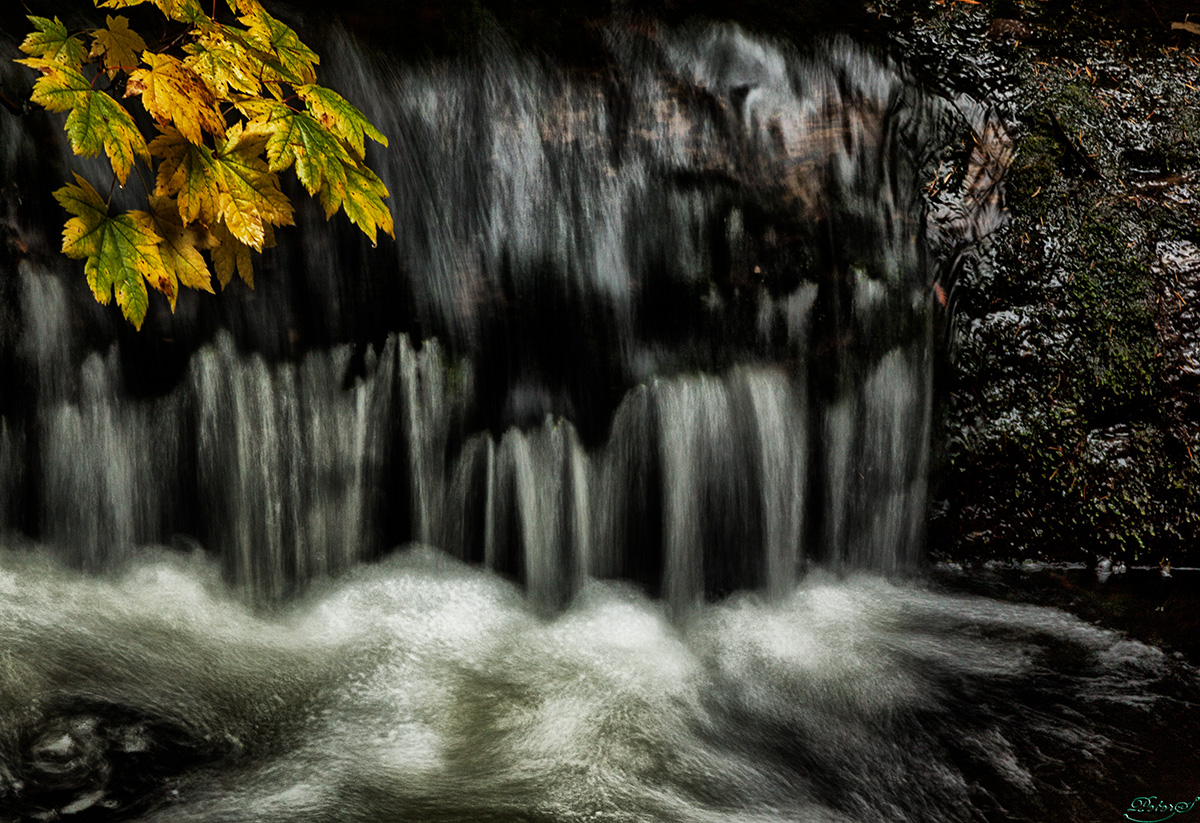 %_tempFileNameIMG_2793%