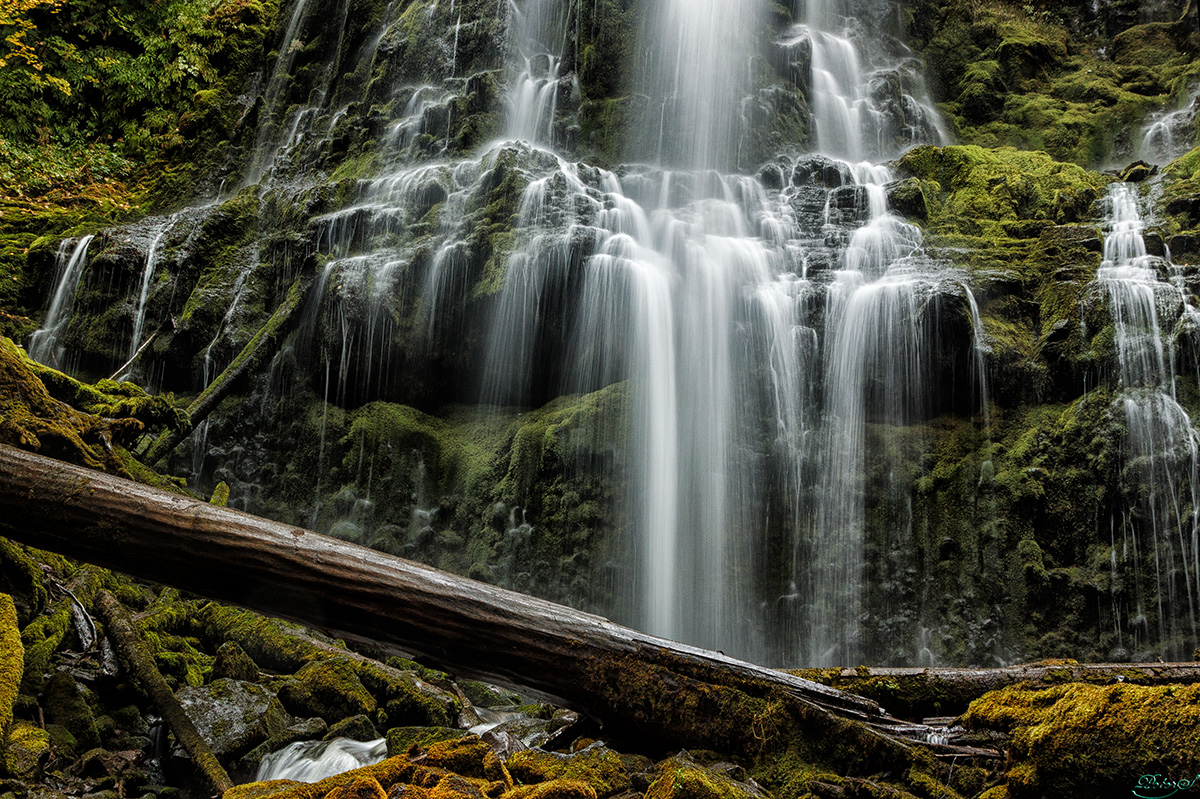 %_tempFileNameIMG_2801%