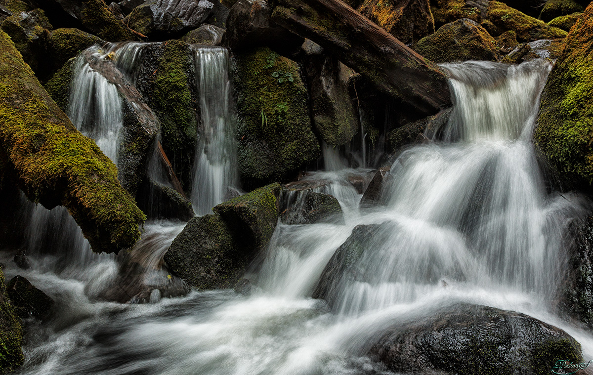 %_tempFileNameIMG_2806%