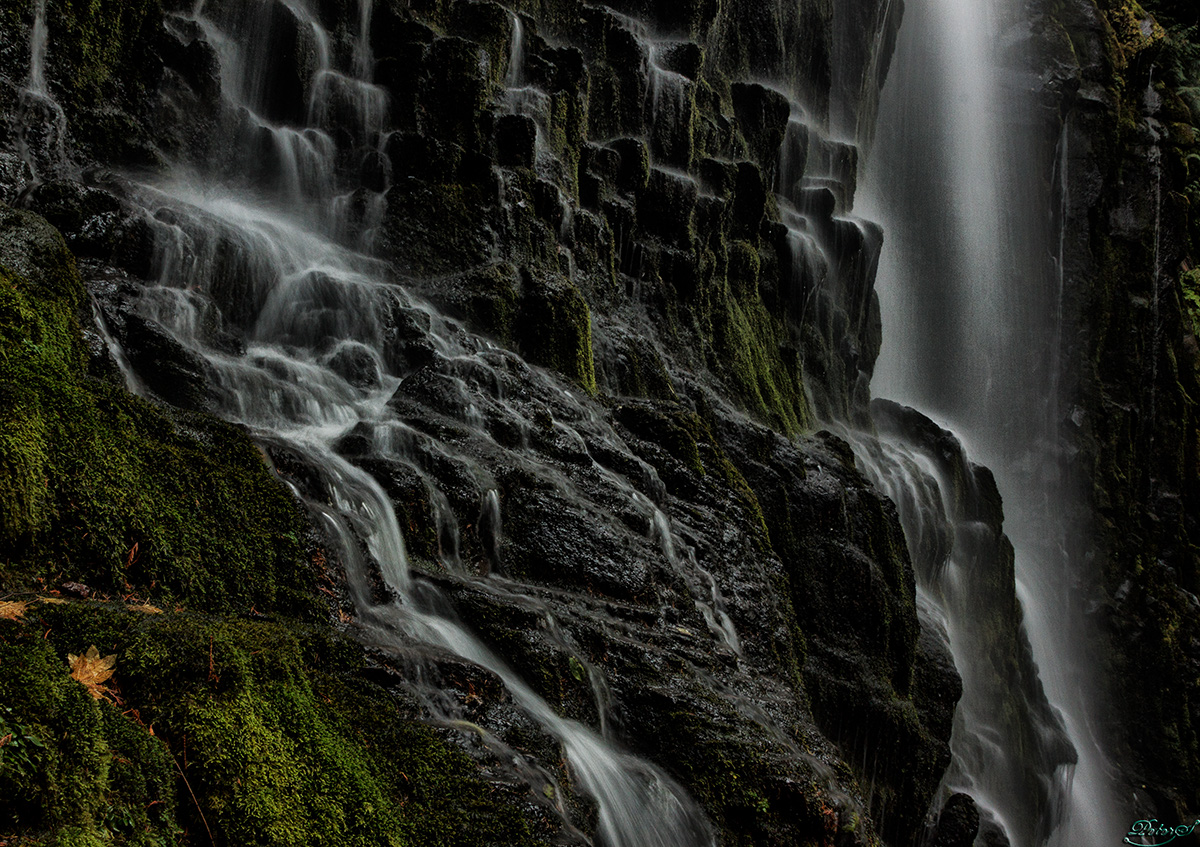 %_tempFileNameIMG_2808%