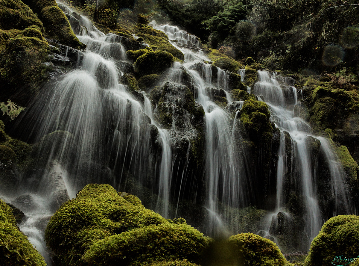 %_tempFileNameIMG_2813%