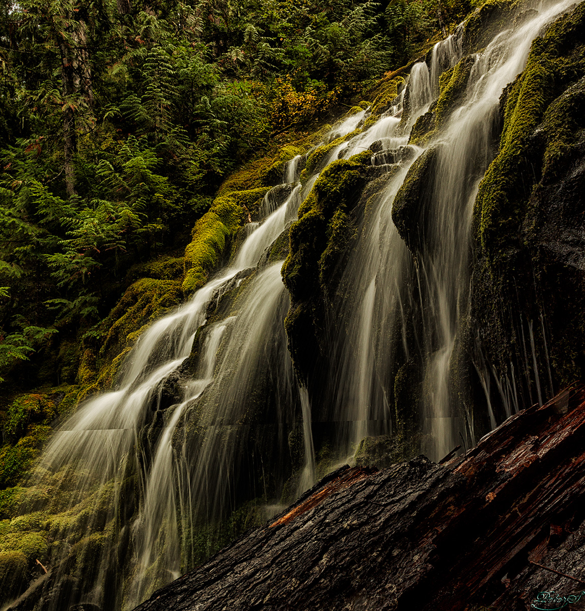 %_tempFileNameIMG_2815%