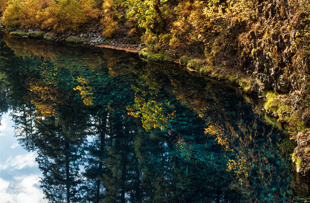 %_tempFileNameIMG_2825%