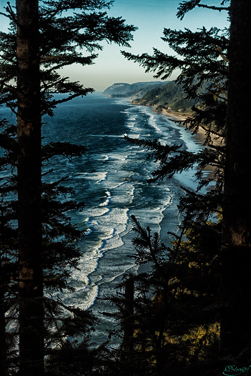 %_tempFileNameIMG_2832%