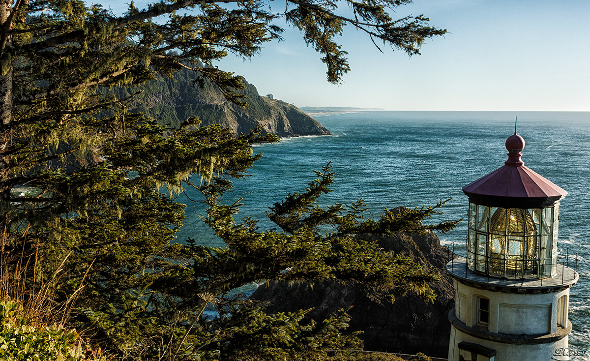 %_tempFileNameIMG_2834%