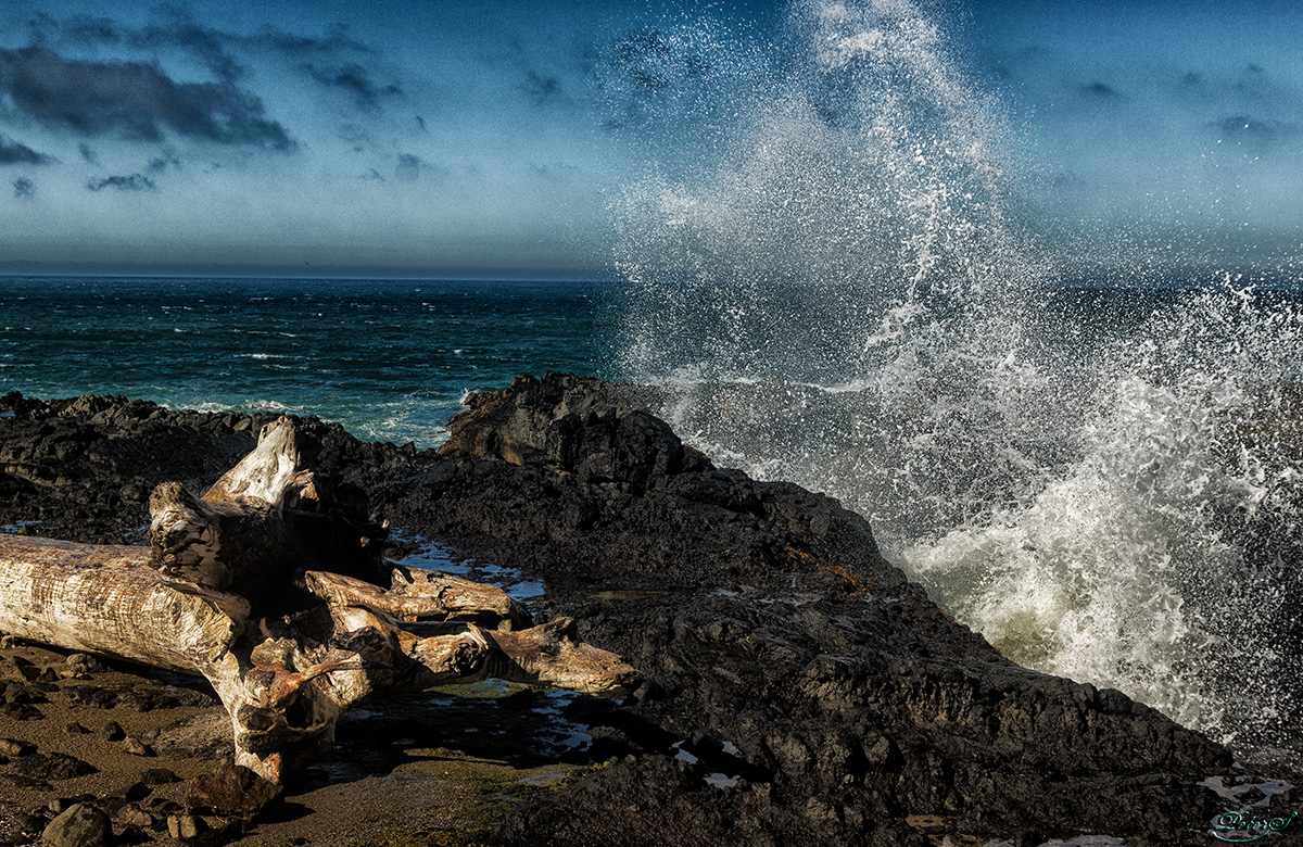 %_tempFileNameIMG_2836%