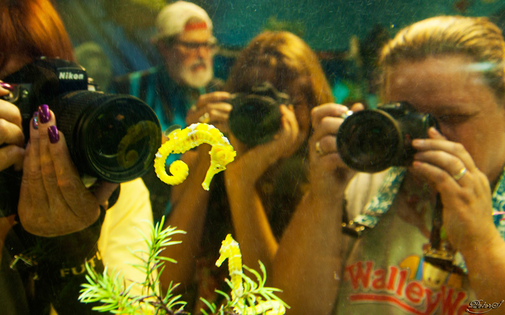 %_tempFileNameIMG_6025%