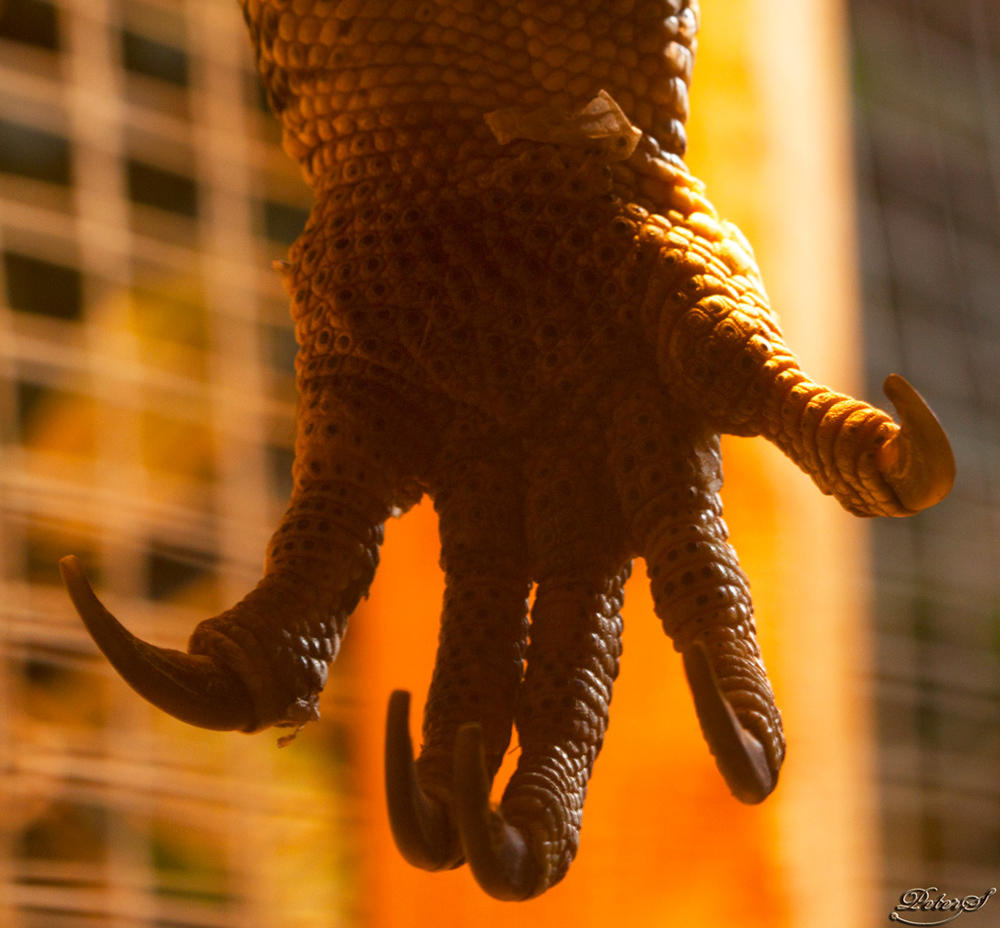 %_tempFileNameIMG_6053%