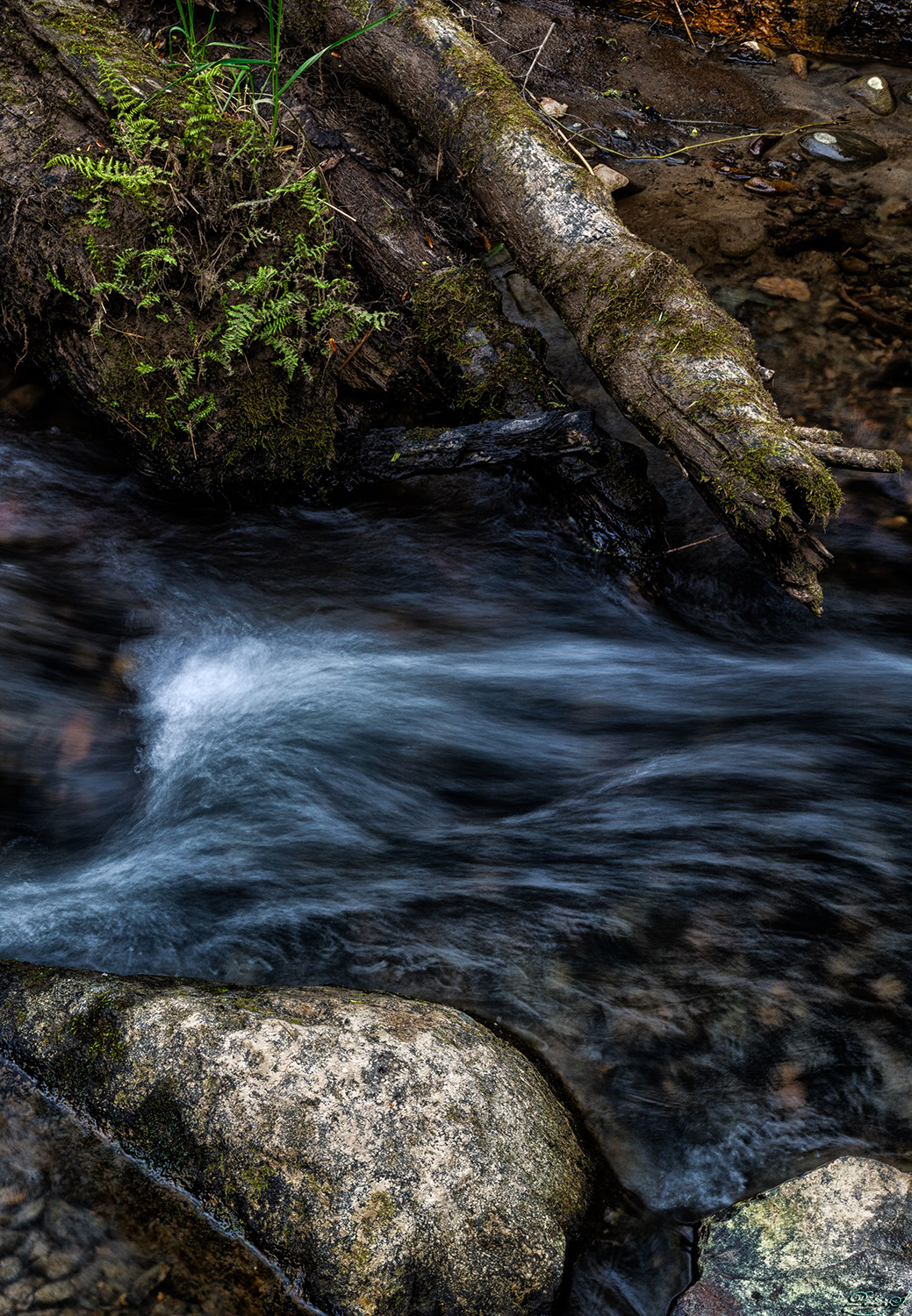 %_tempFileNameIMG_9759%