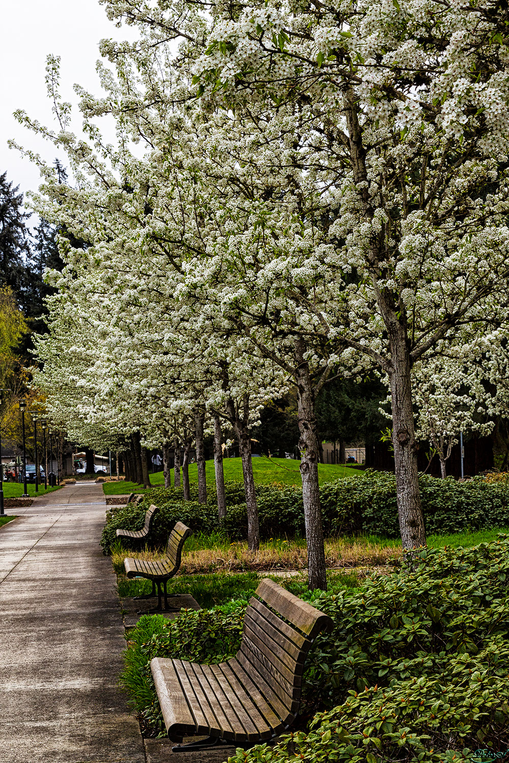 %_tempFileNameIMG_9762%