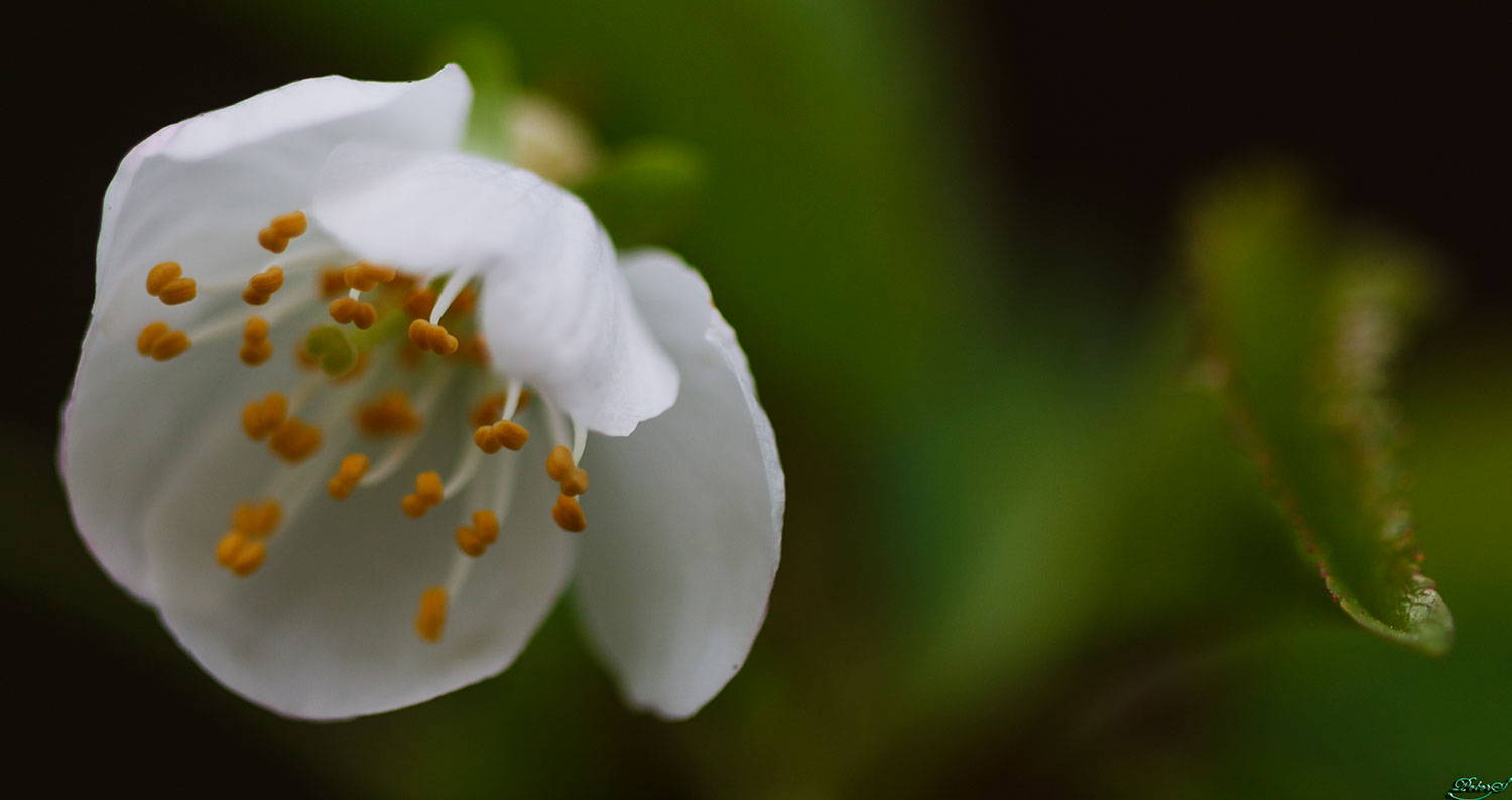 %_tempFileNameIMG_9767%