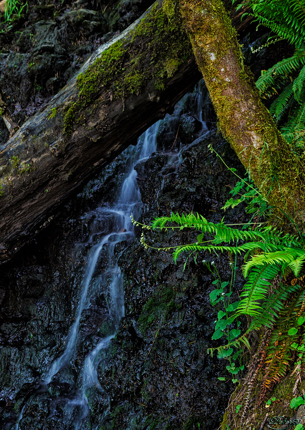 %_tempFileNameIMG_9860%