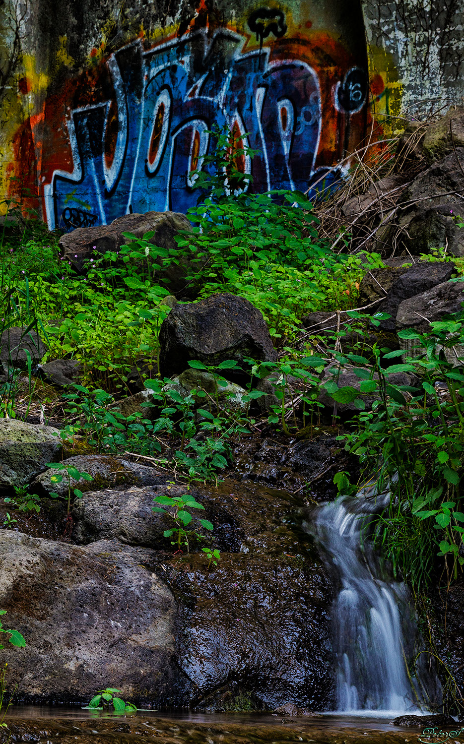 %_tempFileNameIMG_9865%