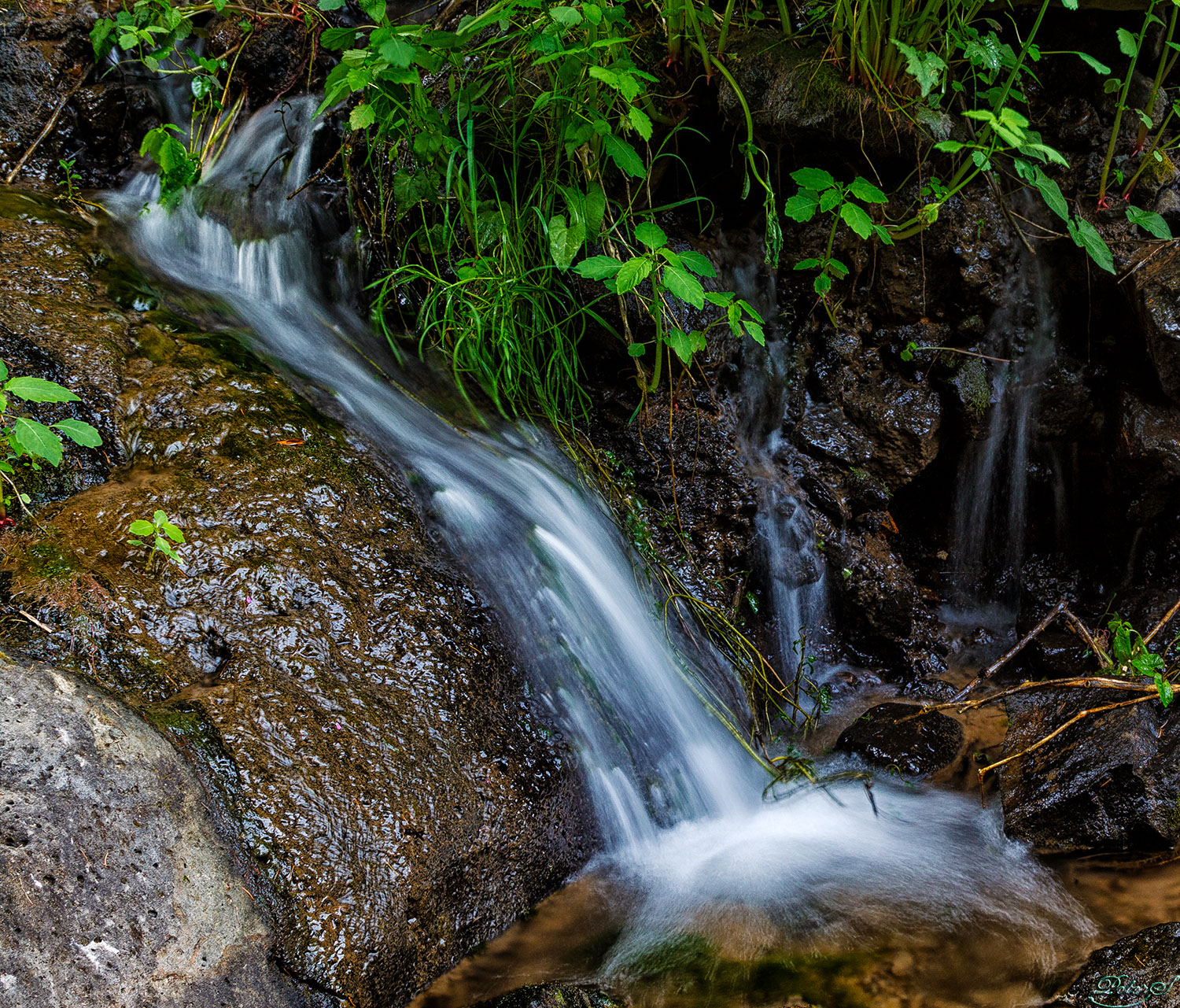 %_tempFileNameIMG_9867%