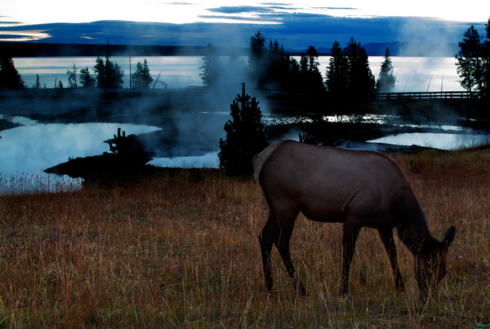 %_tempFileNameIMG_1078%