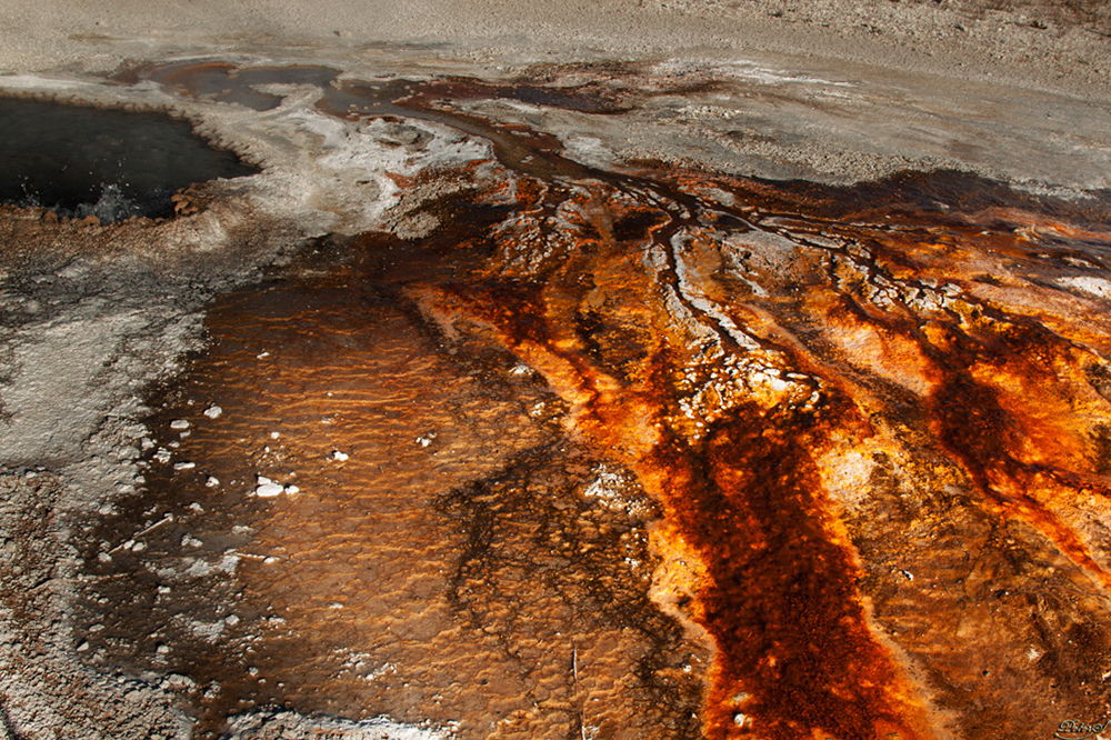 %_tempFileNameIMG_1158%