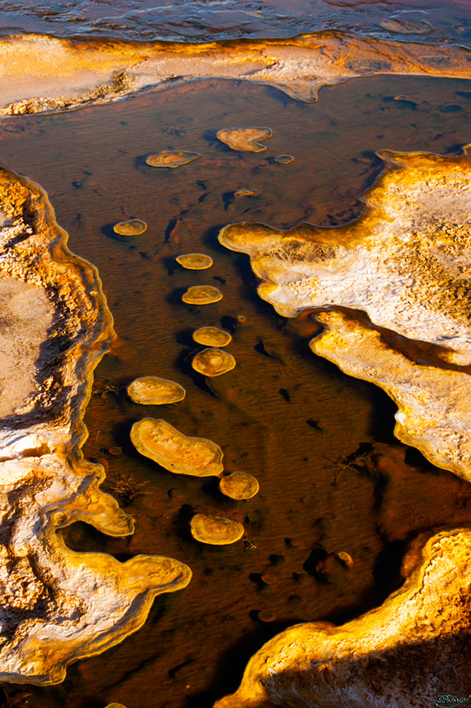 %_tempFileNameIMG_1160%