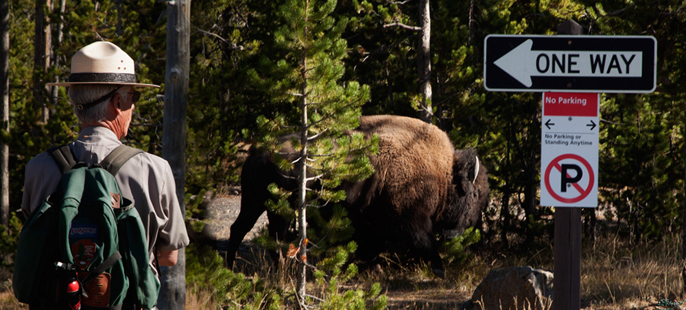 %_tempFileNameIMG_1169%