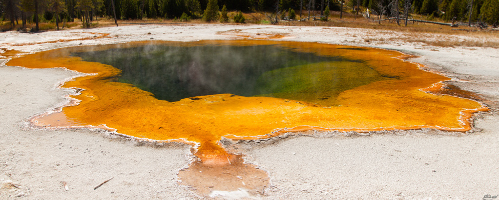 %_tempFileNameIMG_1317%