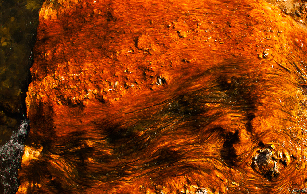 %_tempFileNameIMG_1373%