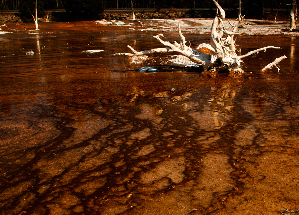 %_tempFileNameIMG_1385%