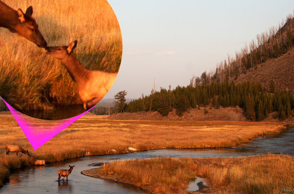 %_tempFileNameIMG_1422%