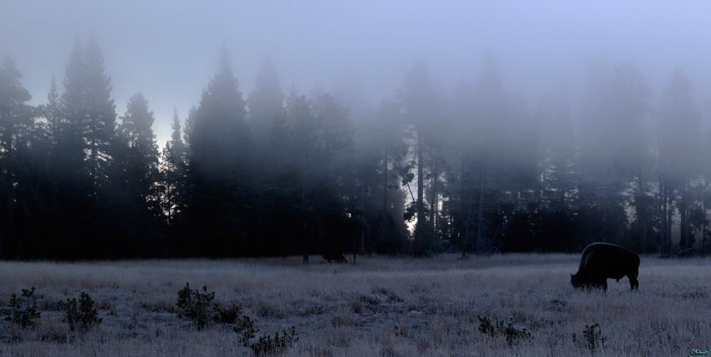 %_tempFileNameIMG_1493%