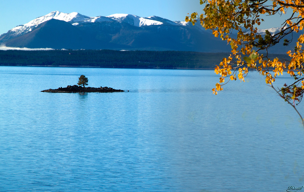 %_tempFileNameIMG_1494%